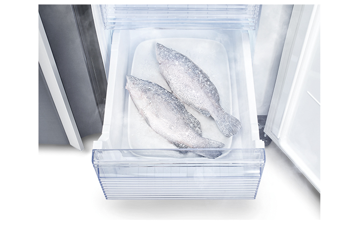 Fish_0173_F